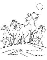 coloriage spirit et son troupeau